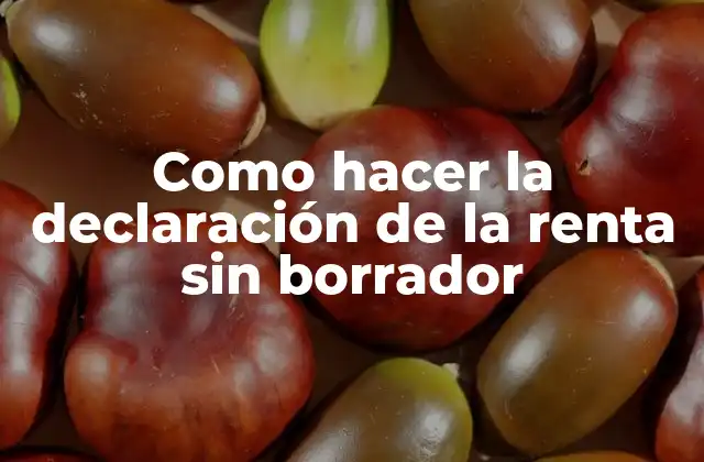 Como Hacer la Declaración de la Renta sin Borrador