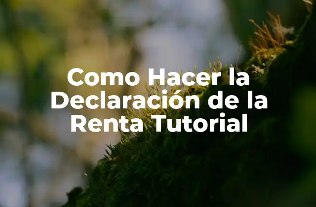 Como Hacer la Declaración de la Renta Tutorial