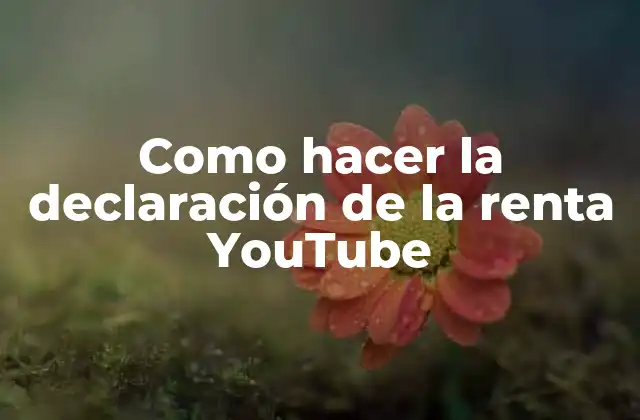 Como Hacer la Declaración de la Renta Youtube