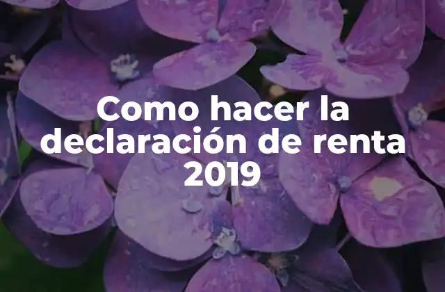 Como Hacer la Declaración de Renta 2019