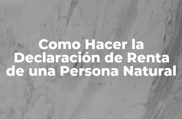 Como Hacer la Declaración de Renta de una Persona Natural