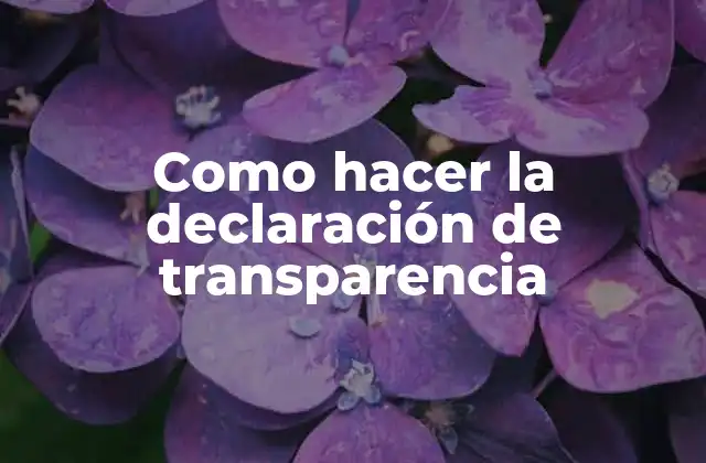 Como Hacer la Declaración de Transparencia