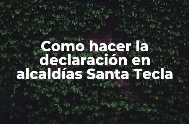 Como Hacer la Declaración en Alcaldías Santa Tecla