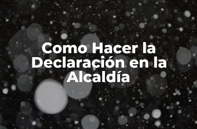 Como Hacer la Declaración en la Alcaldía
