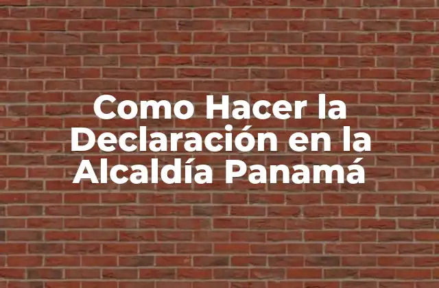 Como Hacer la Declaración en la Alcaldía Panamá