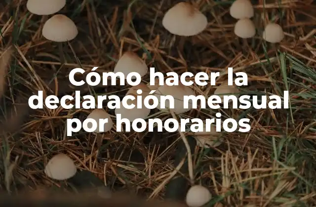 Cómo Hacer la Declaración Mensual por Honorarios