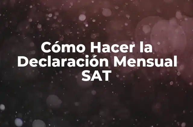 Cómo Hacer la Declaración Mensual Sat