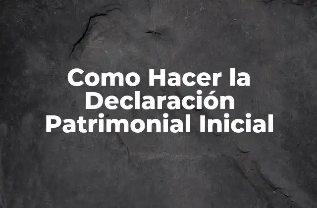 Como Hacer la Declaración Patrimonial Inicial