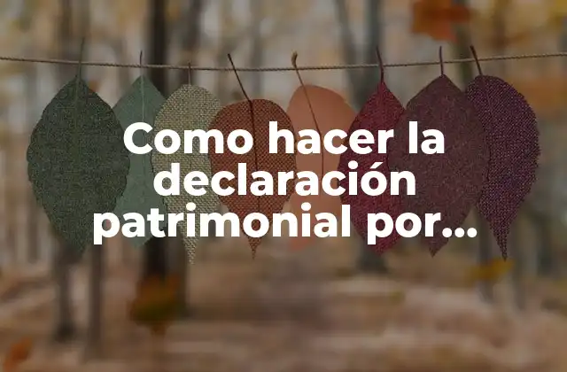 Como Hacer la Declaración Patrimonial por Internet