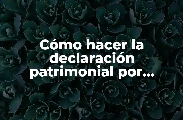 Cómo Hacer la Declaración Patrimonial por Modificación