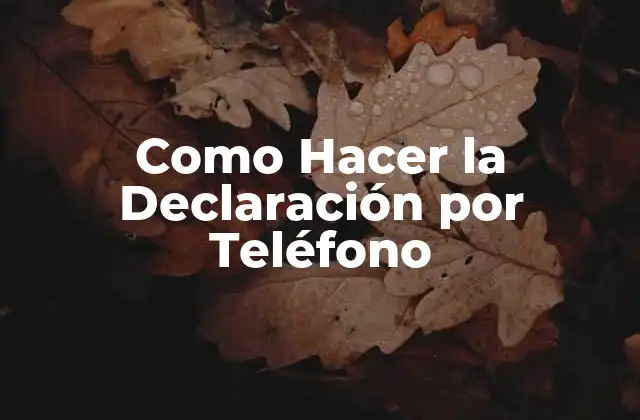 Como Hacer la Declaración por Teléfono