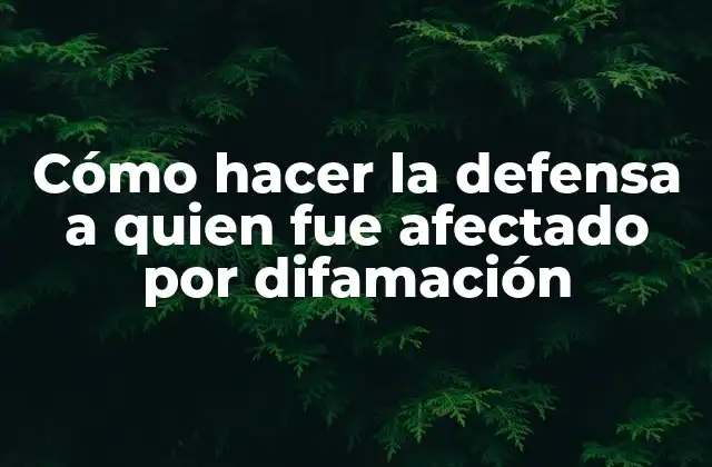 Cómo Hacer la Defensa a Quien Fue Afectado por Difamación