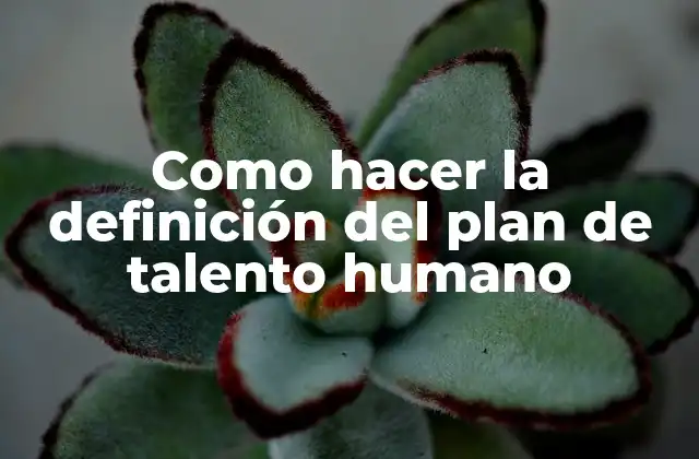 Como Hacer la Definición Del Plan de Talento Humano