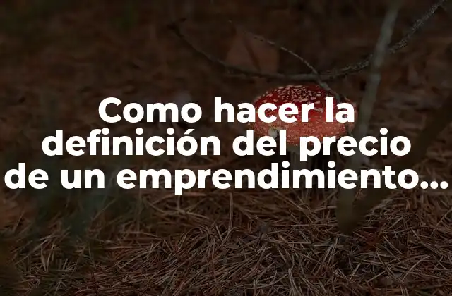 Como Hacer la Definición Del Precio de un Emprendimiento Ejemplos