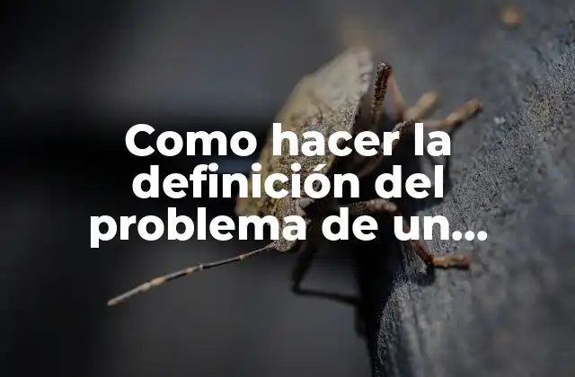 Definición del problema de un proyecto
