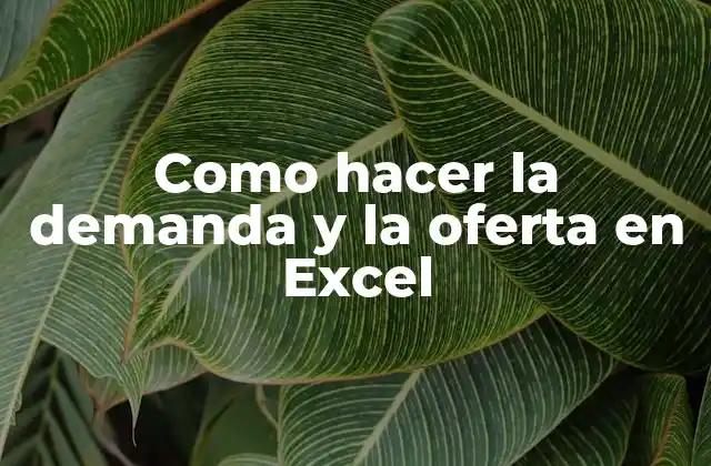 Como Hacer la Demanda y la Oferta en Excel 2 ¿Qué es la demanda y la oferta en Excel?