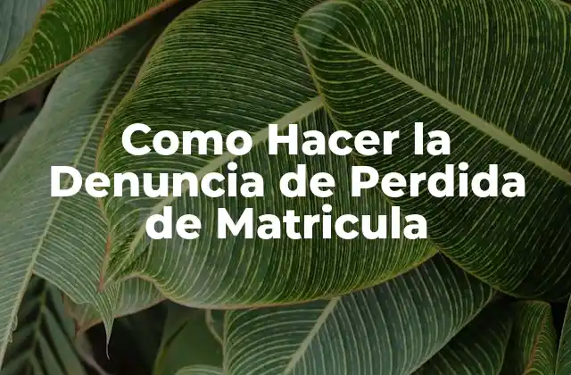 Como Hacer la Denuncia de Perdida de Matricula