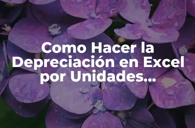 Como Hacer la Depreciación en Excel por Unidades Producción
