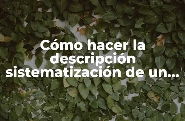 Cómo Hacer la Descripción Sistematización de un Problema