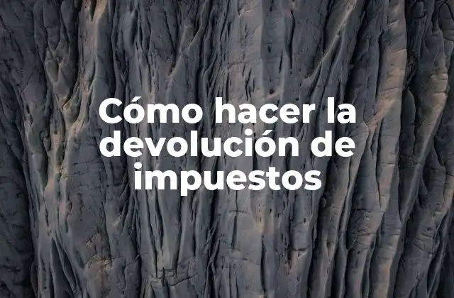 Cómo Hacer la Devolución de Impuestos