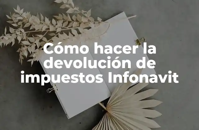 Cómo Hacer la Devolución de Impuestos Infonavit