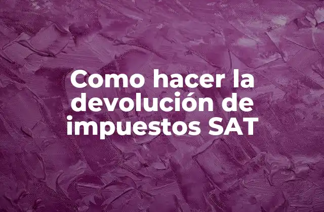 Como Hacer la Devolución de Impuestos Sat