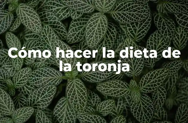 Cómo Hacer la Dieta de la Toronja