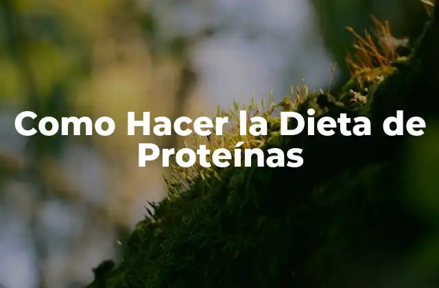 Como Hacer la Dieta de Proteínas