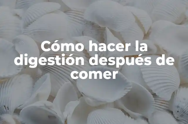Cómo Hacer la Digestión Después de Comer
