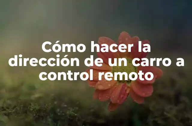 Cómo Hacer la Dirección de un Carro a Control Remoto