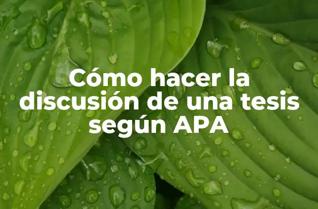 Cómo Hacer la Discusión de una Tesis según Apa