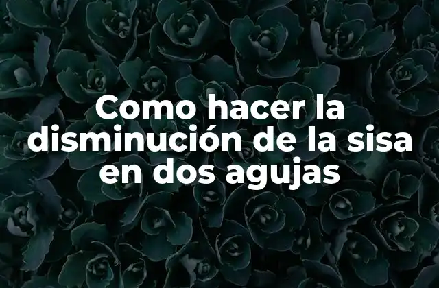 Como Hacer la Disminución de la Sisa en Dos Agujas
