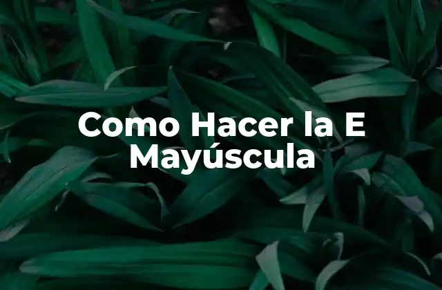 Como Hacer la e Mayúscula