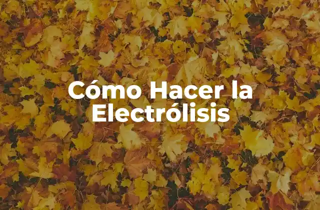Cómo Hacer la Electrólisis