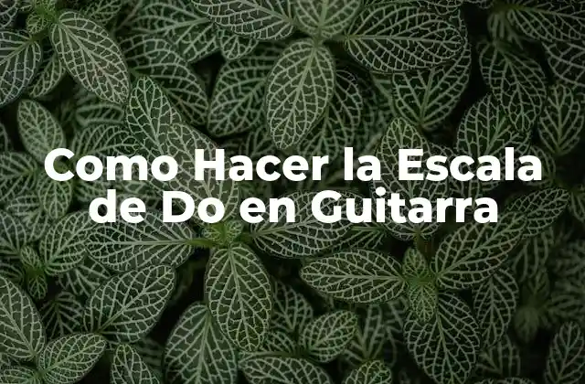 ¿Qué es la Escala de Do en Guitarra?