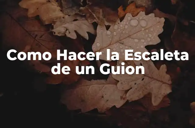 Como Hacer la Escaleta de un Guion