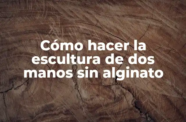 Cómo Hacer la Escultura de Dos Manos sin Alginato