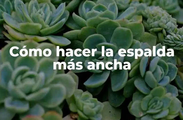 Cómo Hacer la Espalda Más Ancha