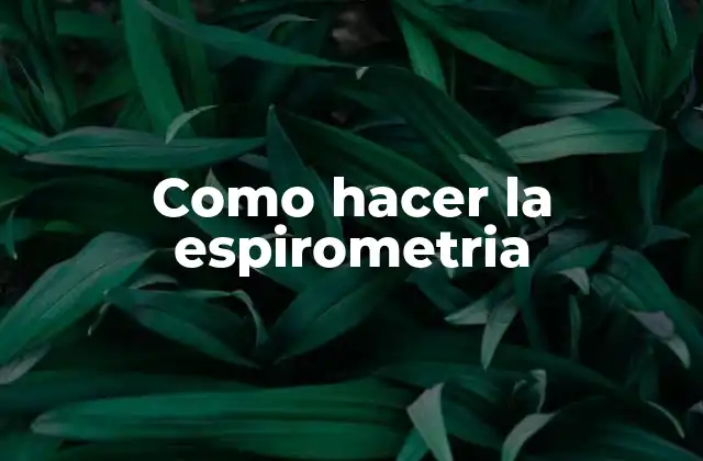 Como Hacer la Espirometria 2 ¿Qué es la espirometría?