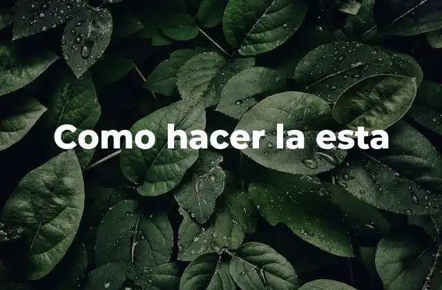 Como Hacer la Esta