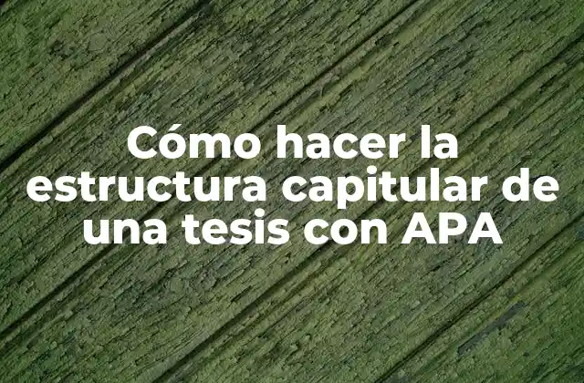 Cómo Hacer la Estructura Capitular de una Tesis con Apa