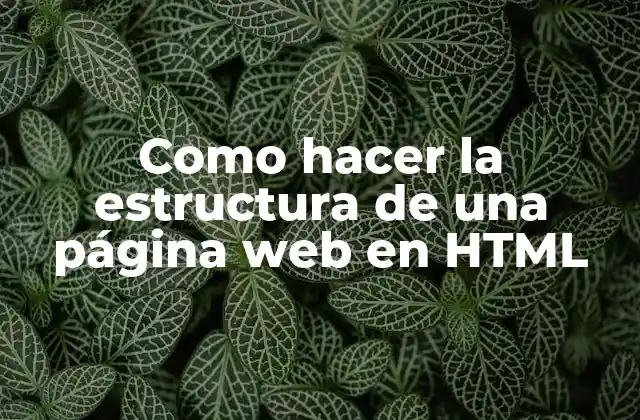 Como Hacer la Estructura de una Página Web en Html