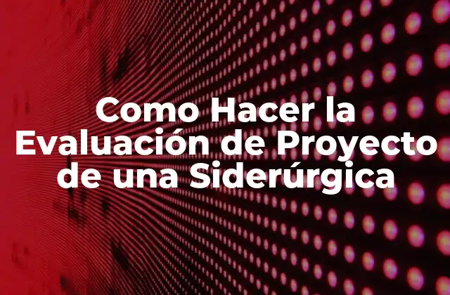 Como Hacer la Evaluación de Proyecto de una Siderúrgica