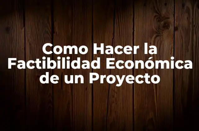 Como Hacer la Factibilidad Económica de un Proyecto