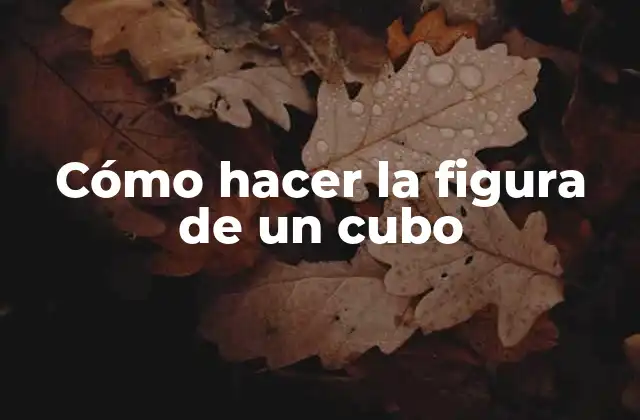 Cómo Hacer la Figura de un Cubo