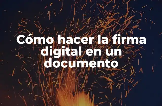 Cómo Hacer la Firma Digital en un Documento