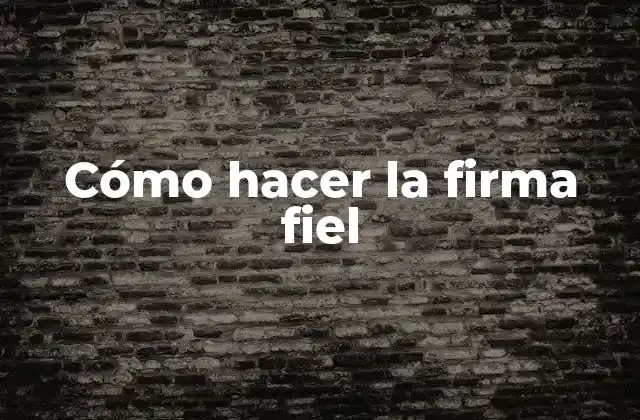 Cómo Hacer la Firma Fiel