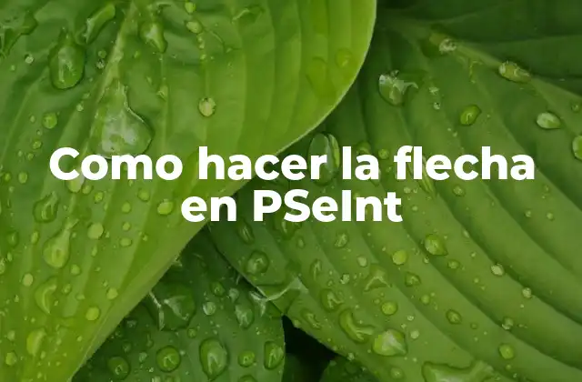 Como Hacer la Flecha en Pseint