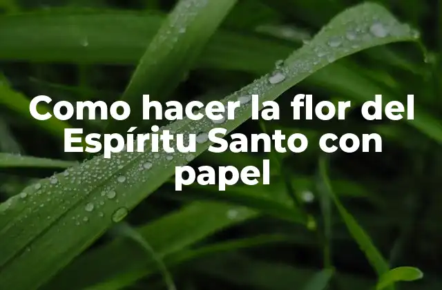 Como Hacer la Flor Del Espíritu Santo con Papel