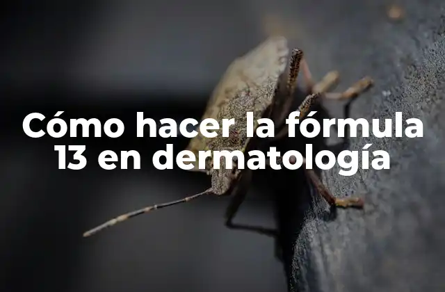 Cómo Hacer la Fórmula 13 en Dermatología
